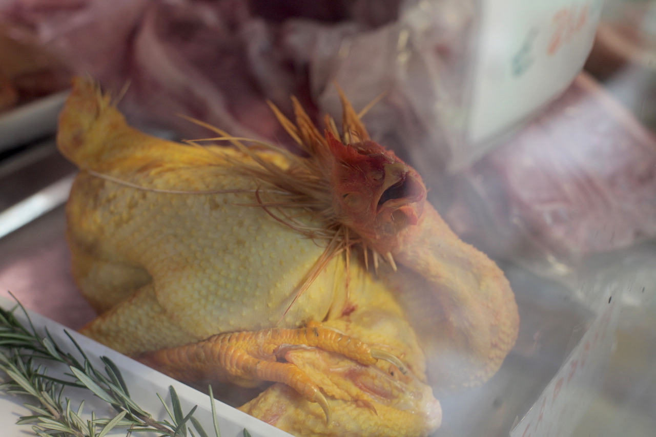 Dino voor onder de grill