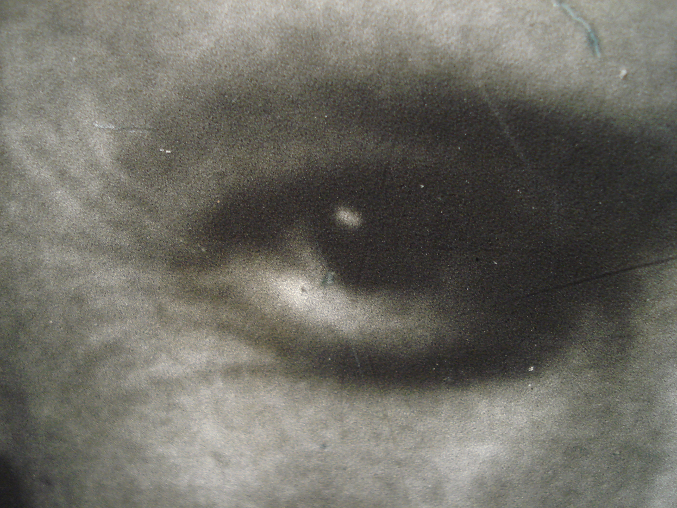 Oog