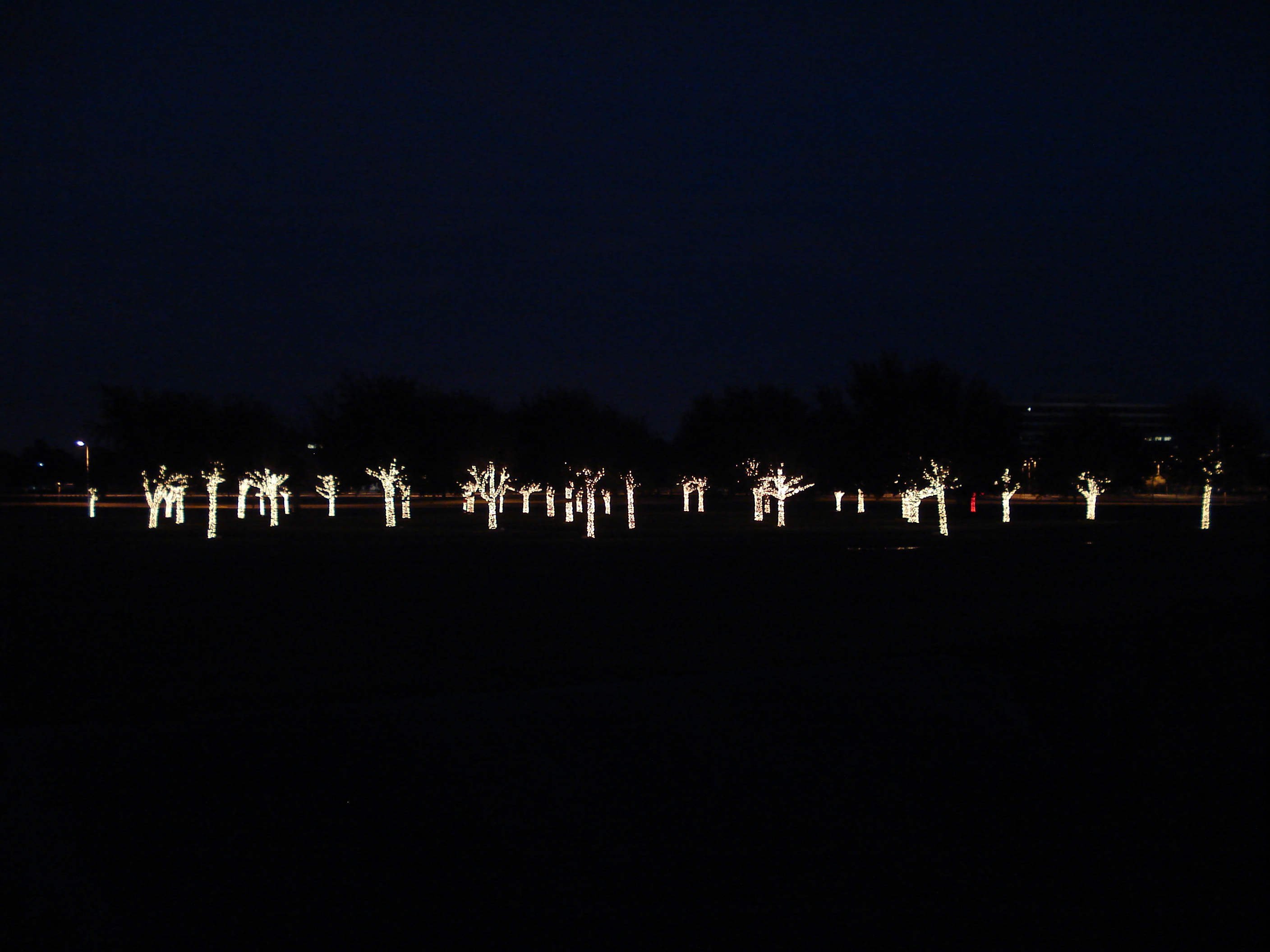 Memorial Tree Grove